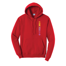 Load image into Gallery viewer, Hoodies - #NoobSquad Gradient