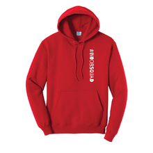 Load image into Gallery viewer, Hoodies - #NoobSquad
